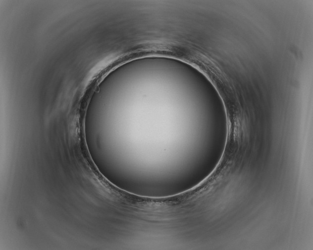 X0000113951164200909251333