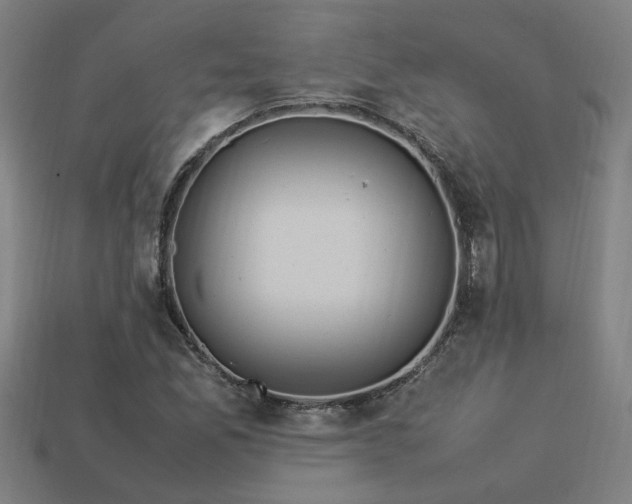 X0000113951165200909251333