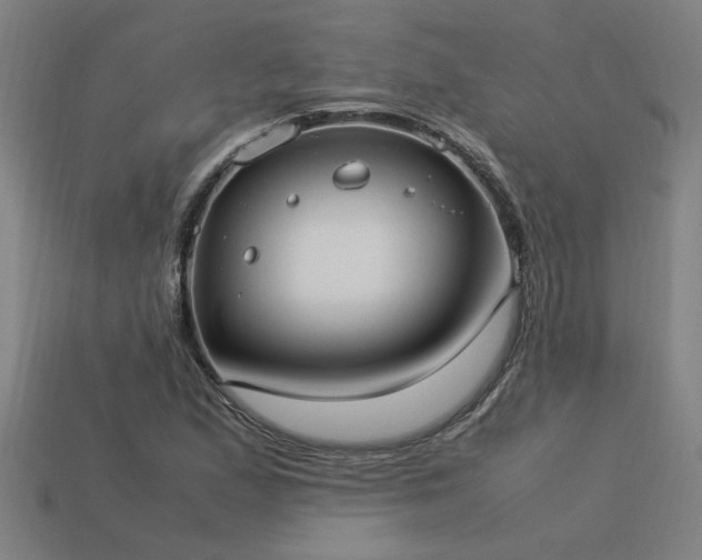 X0000113951167200909251333