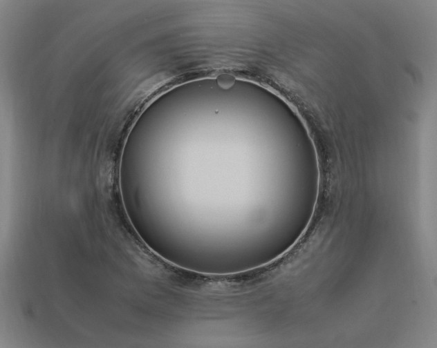 X0000113951169200909251333