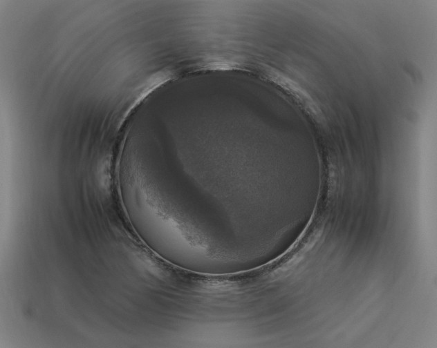 X0000113951170200909251333