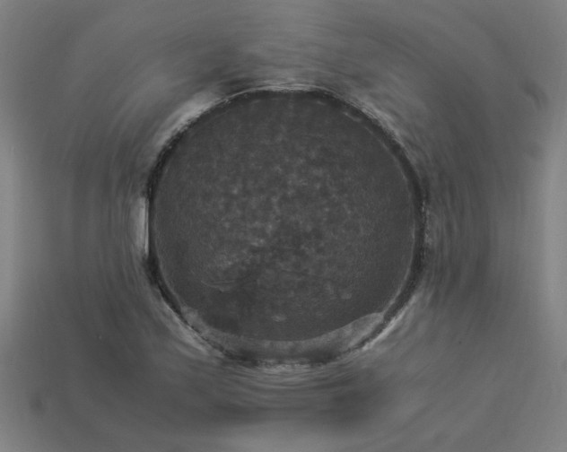 X0000113951171200909251333