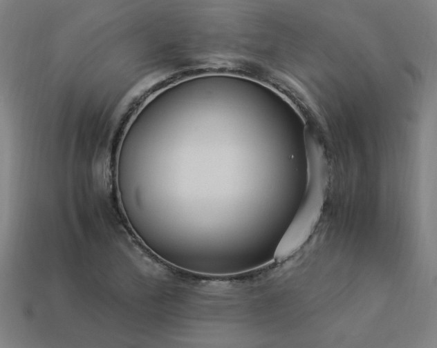 X0000113951172200909251333