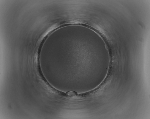 X0000113951173200909251332