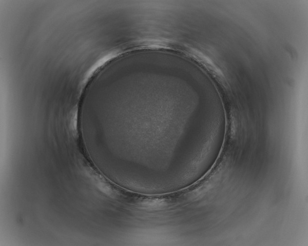 X0000113951174200909251332