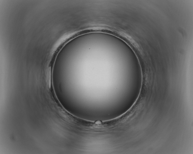 X0000113951175200909251332