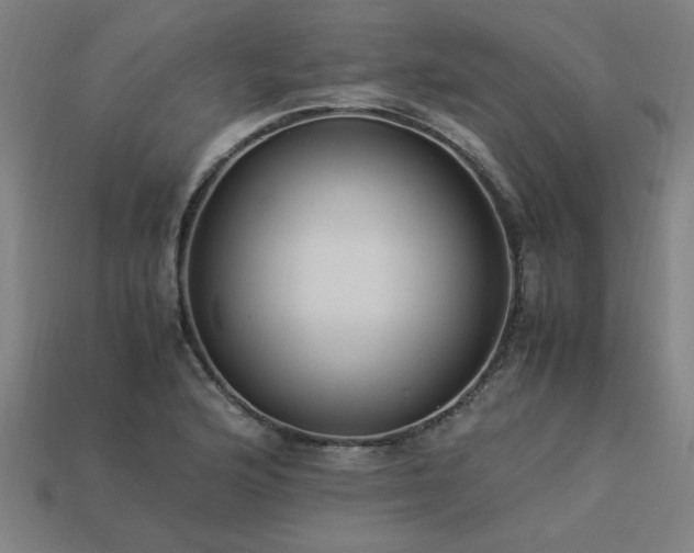 X0000113951176200909251332