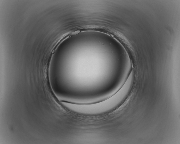 X0000113951177200909251332