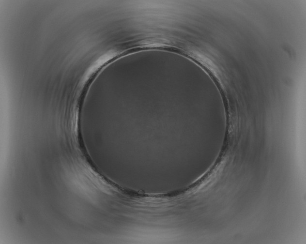 X0000113951179200909251332