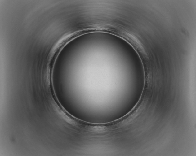 X0000113951180200909251332