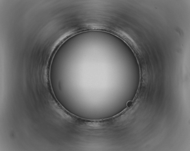 X0000113951182200909251332