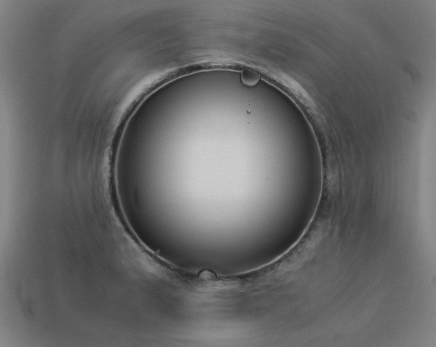 X0000113951183200909251332