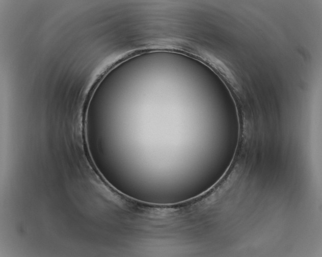X0000113951184200909251332