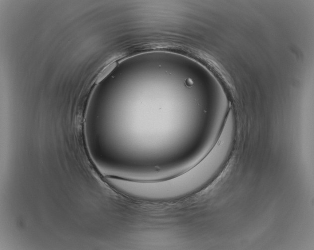 X0000113951185200909251332