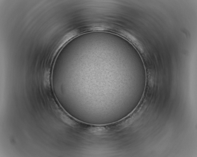 X0000113951186200909251332