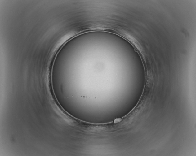 X0000113951187200909251332