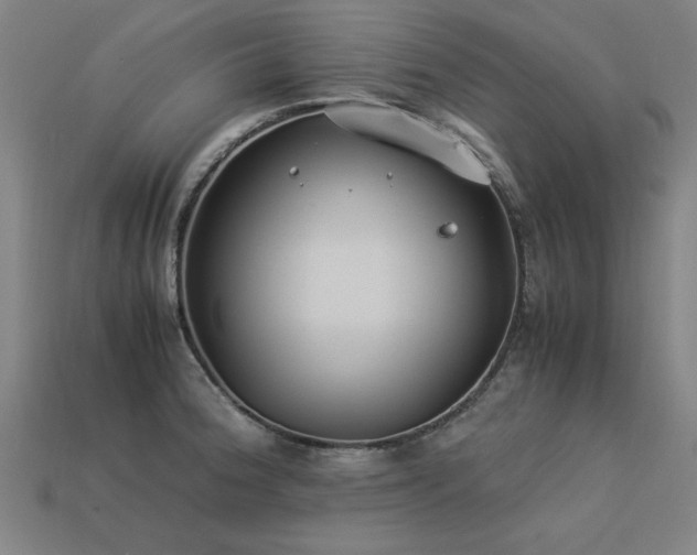 X0000113951188200909251332