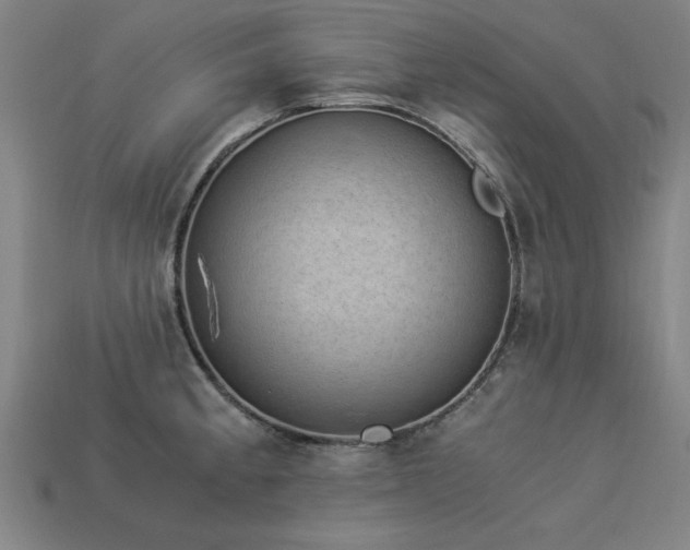 X0000113951189200909251332