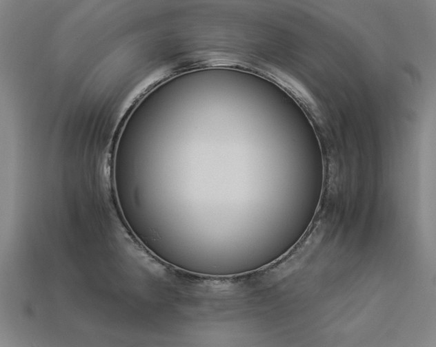 X0000113951190200909251332