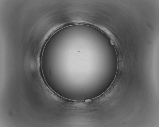 X0000113951191200909251332
