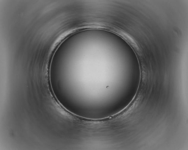 X0000113951192200909251332