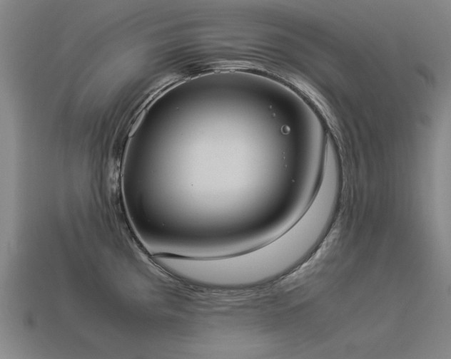 X0000113951193200909251332