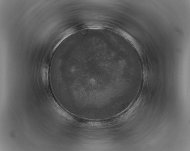 X0000113951194200909251332