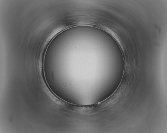 X0000113951195200909251332