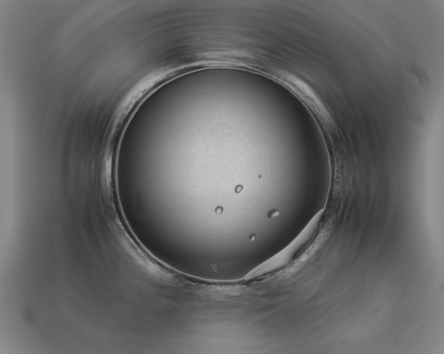 X0000113951196200909251332
