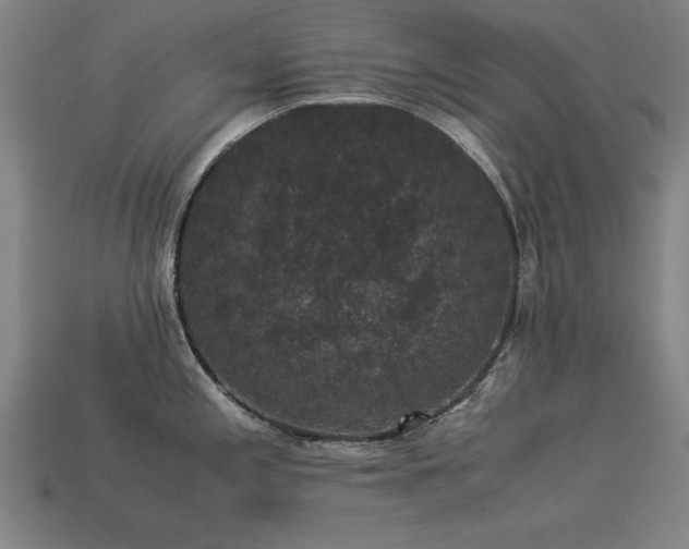 X0000113951197200909251332