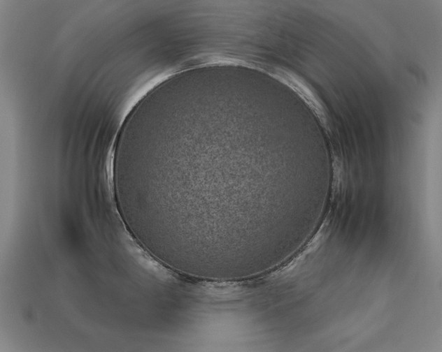 X0000113951198200909251332