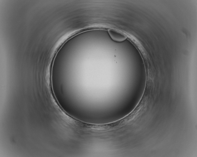 X0000113951199200909251332