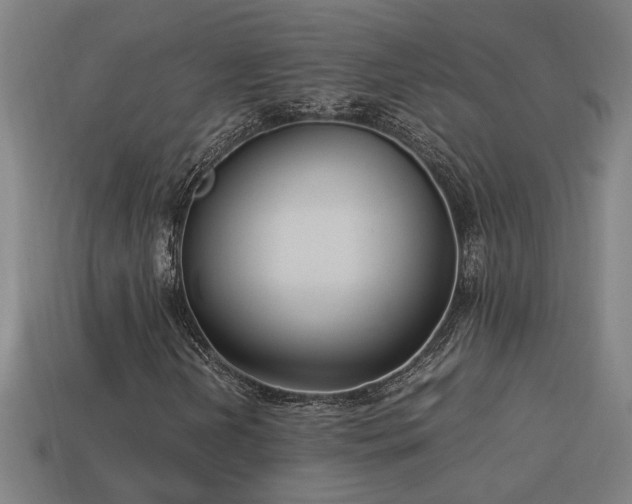 X0000113951202200909251332