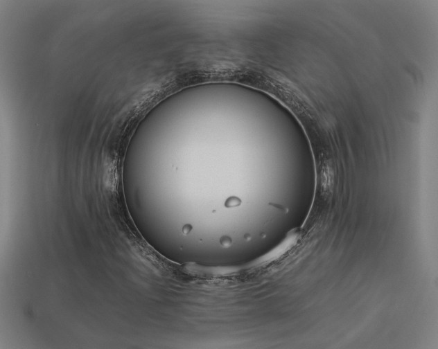 X0000113951204200909251332