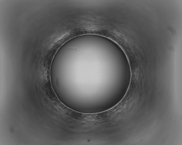 X0000113951205200909251332