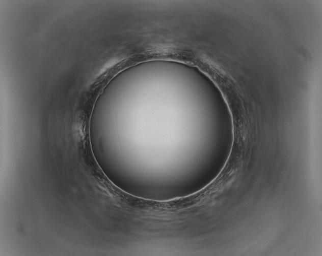 X0000113951206200909251332