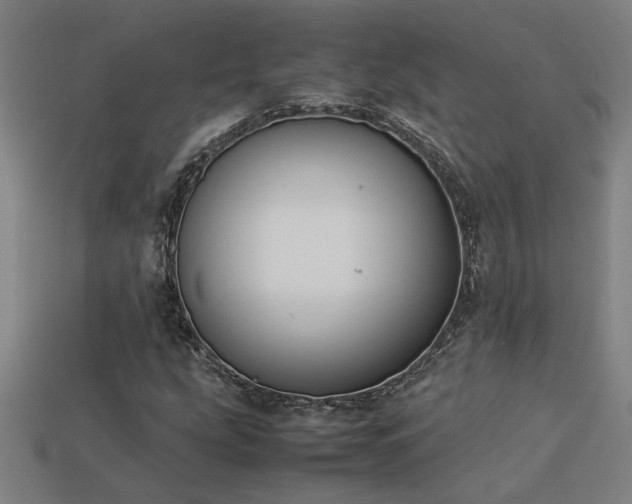 X0000113951207200909251332