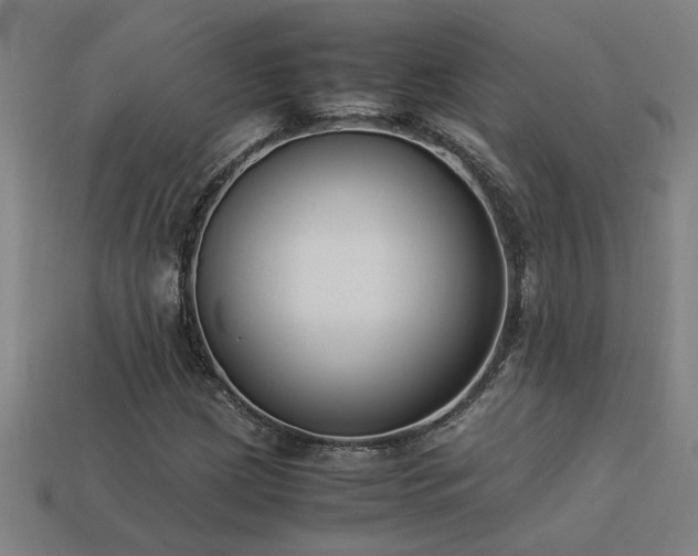 X0000113951209200909251332