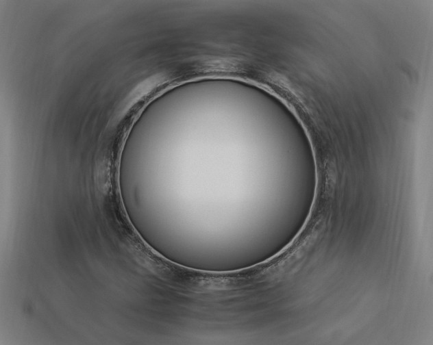 X0000113951211200909251332