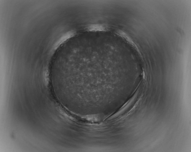 X0000113951213200909251332