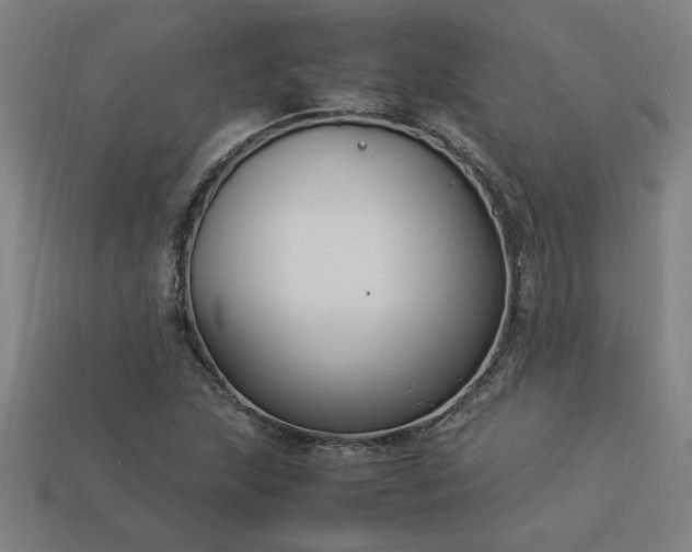 X0000113951215200909251332