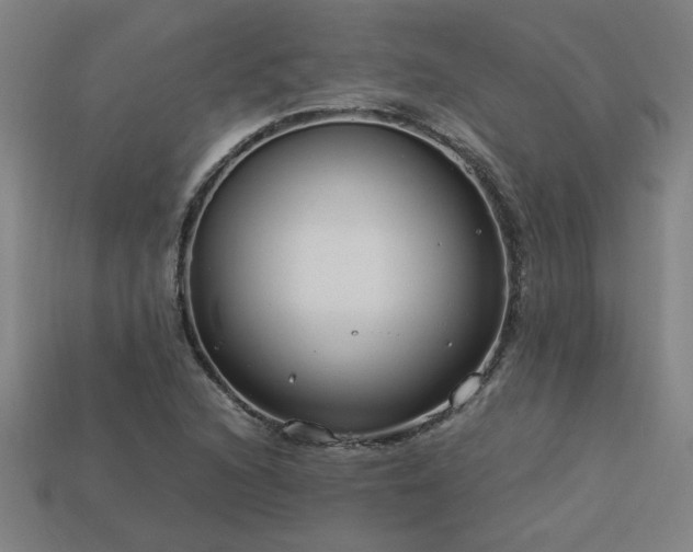 X0000113951216200909251332