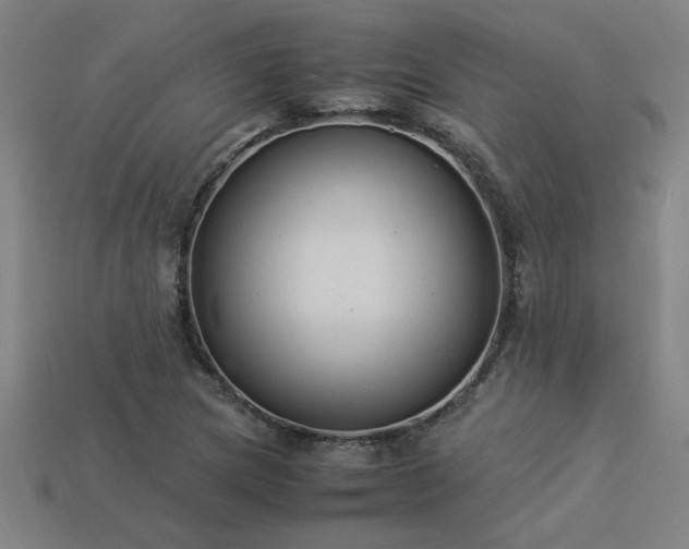 X0000113951217200909251332