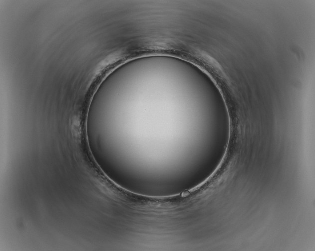 X0000113951218200909251332