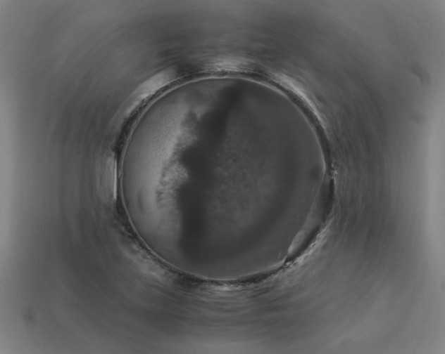 X0000113951219200909251332