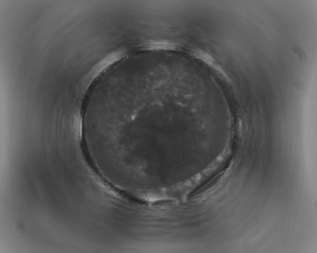 X0000113951221200909251332