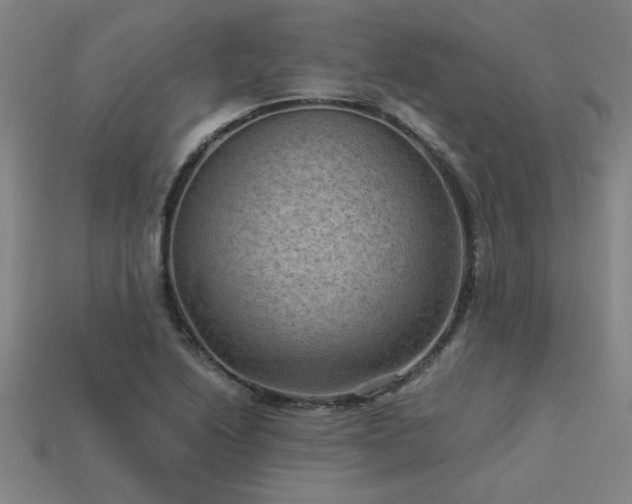 X0000113951222200909251332