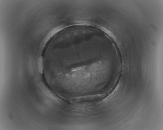 X0000113951223200909251332