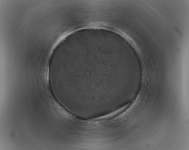 X0000113951224200909251332