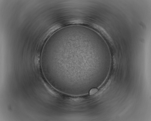 X0000113951225200909251332